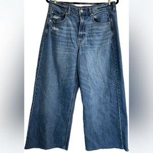 American Eagle Outfitters Wide Leg Cropped Jeans